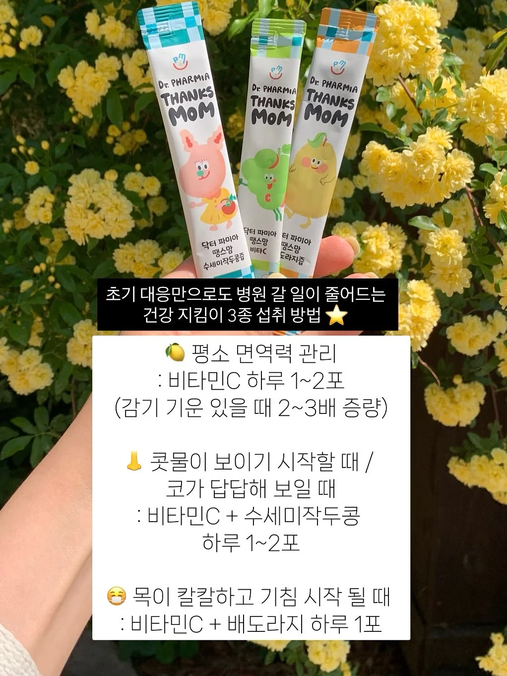 SK하이닉스 한정판 바나나칩 2