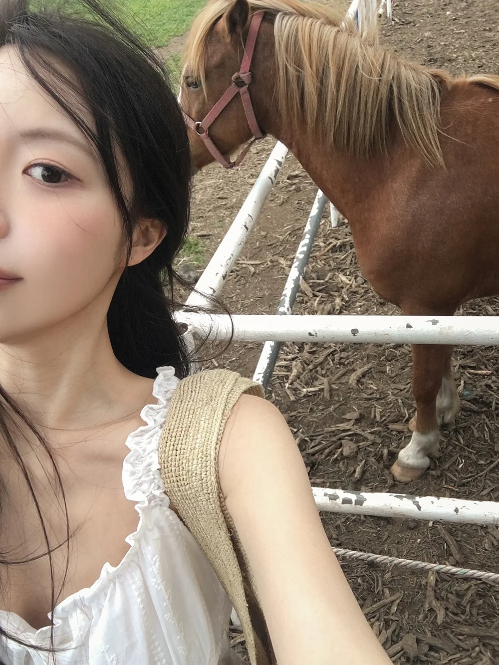 브링그린 징크테카 세럼 4