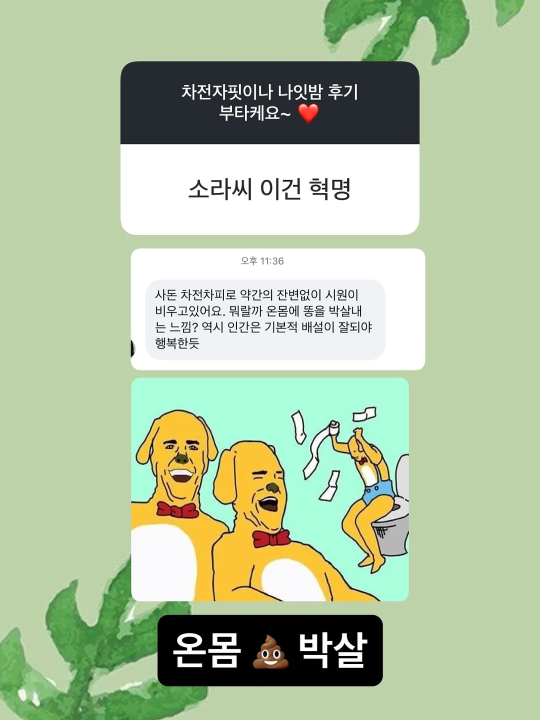 미니크 여름 마켓 8