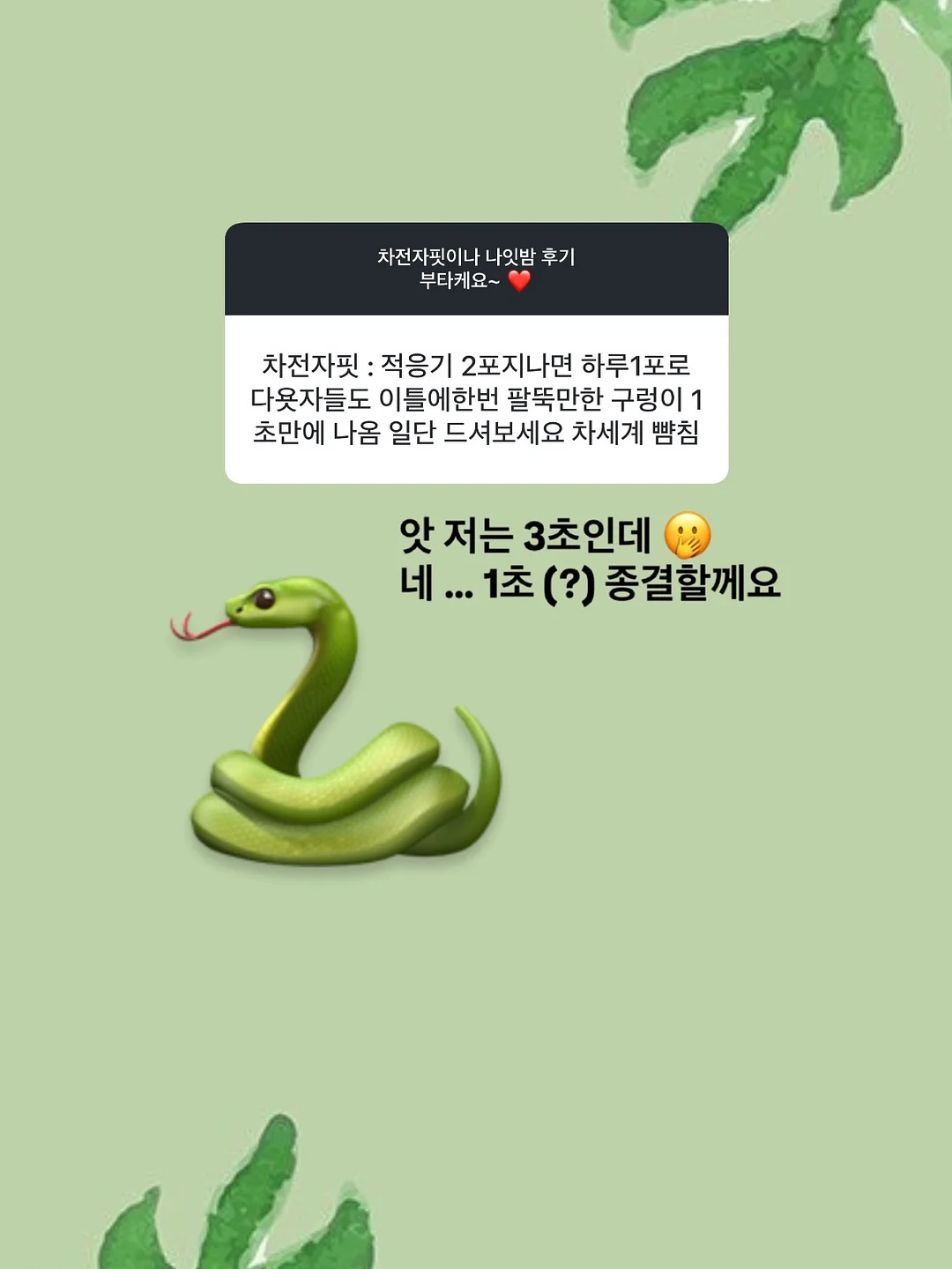 미니크 여름 마켓 9