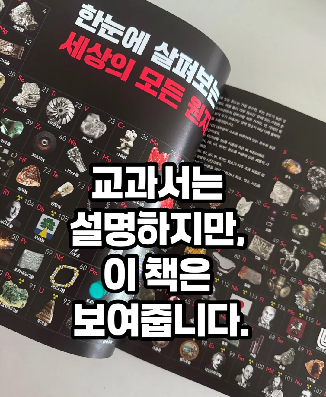 카네이션 모티브 헤어밴드 1
