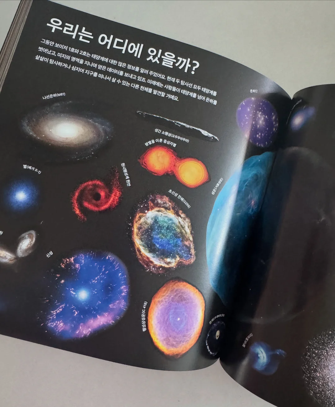 카네이션 모티브 헤어밴드 13