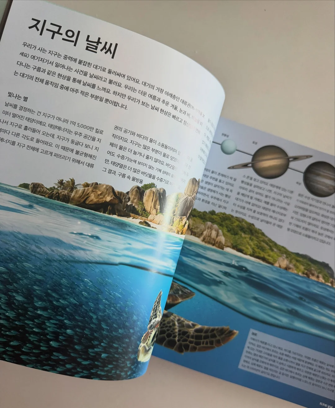카네이션 모티브 헤어밴드 16