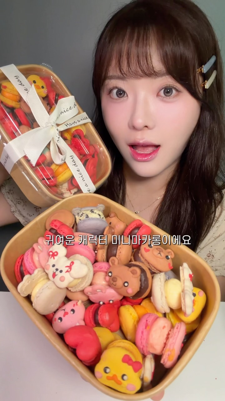 짐벌카메라