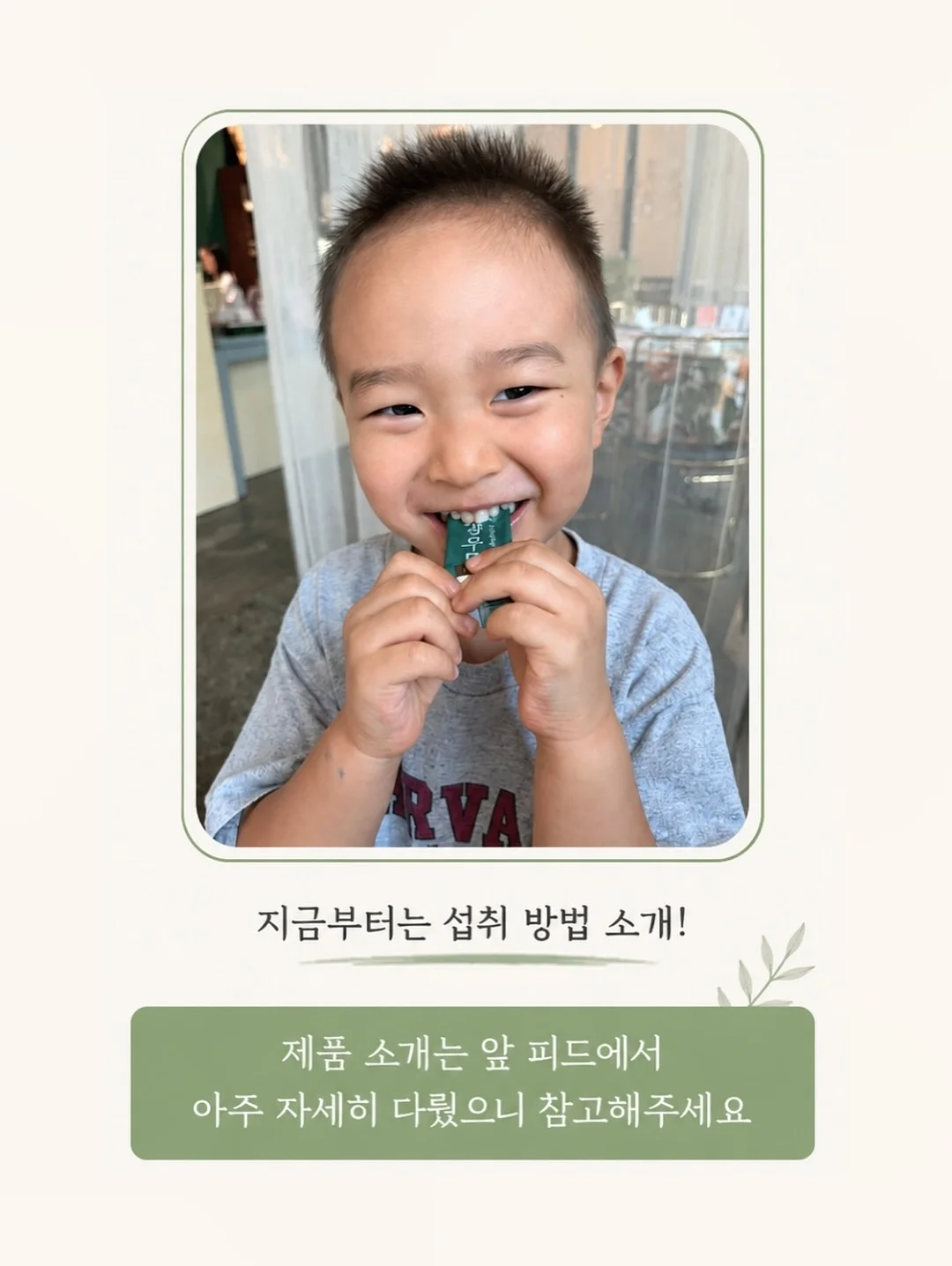 물총 6