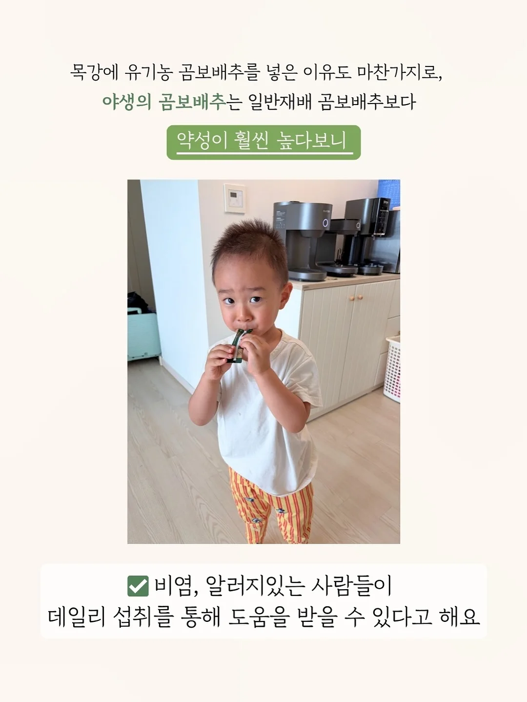 물총 10