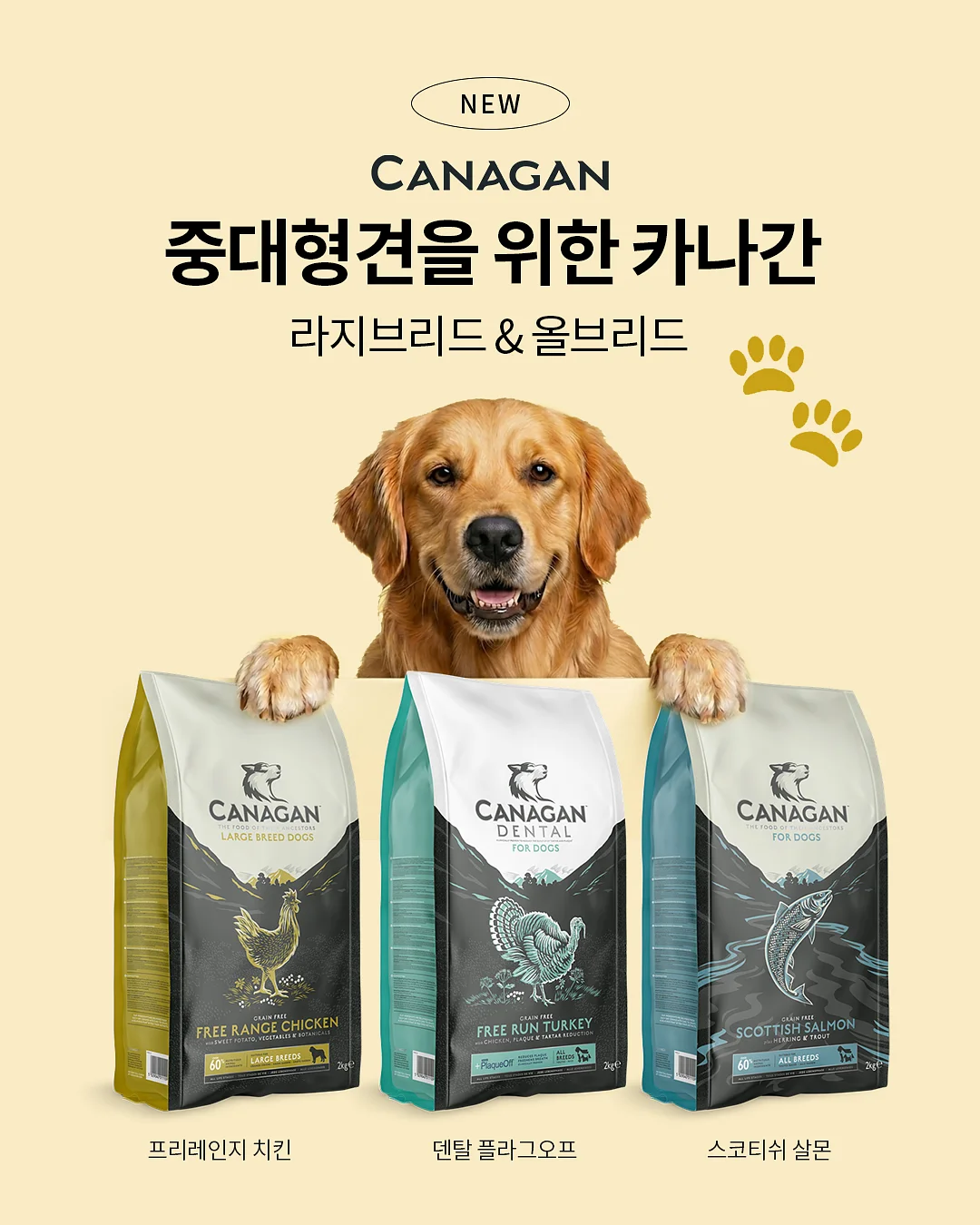 기니피그 글루틴프리 저당쿠키