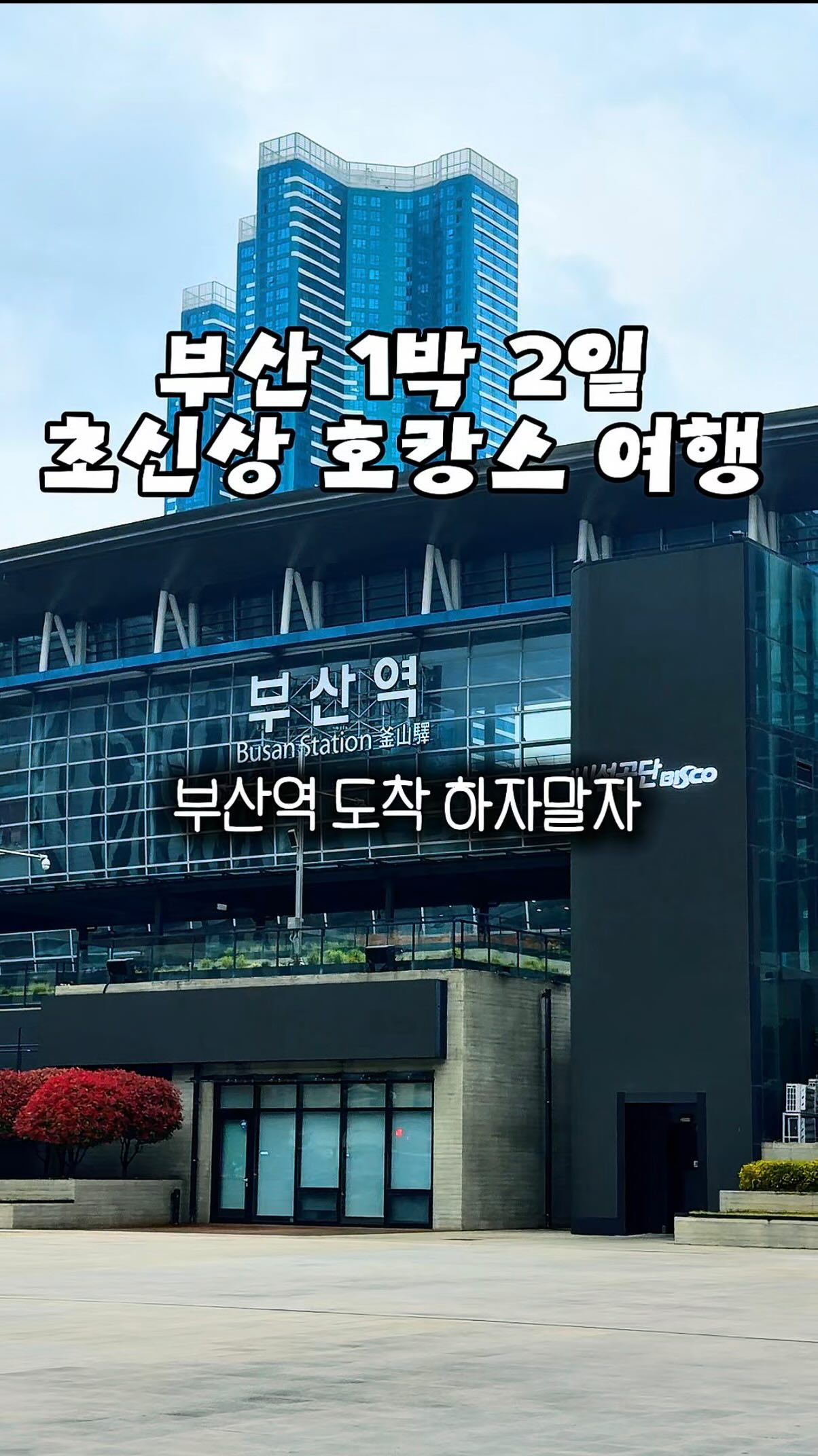 100년 냉면 4종