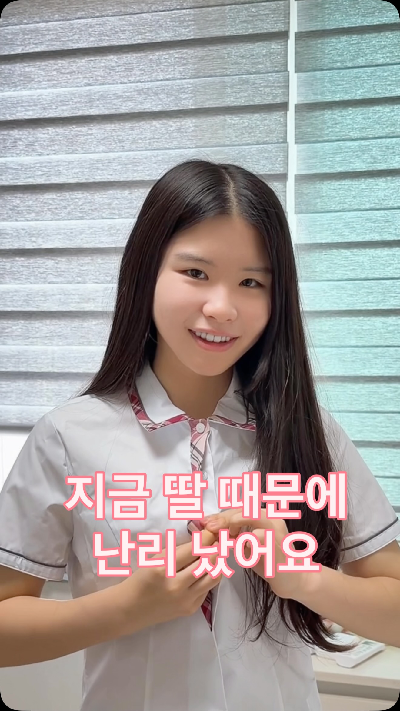 카네이션 화분포트