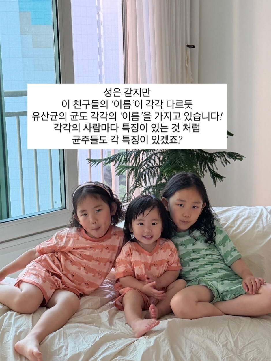 슬라임 세트 3
