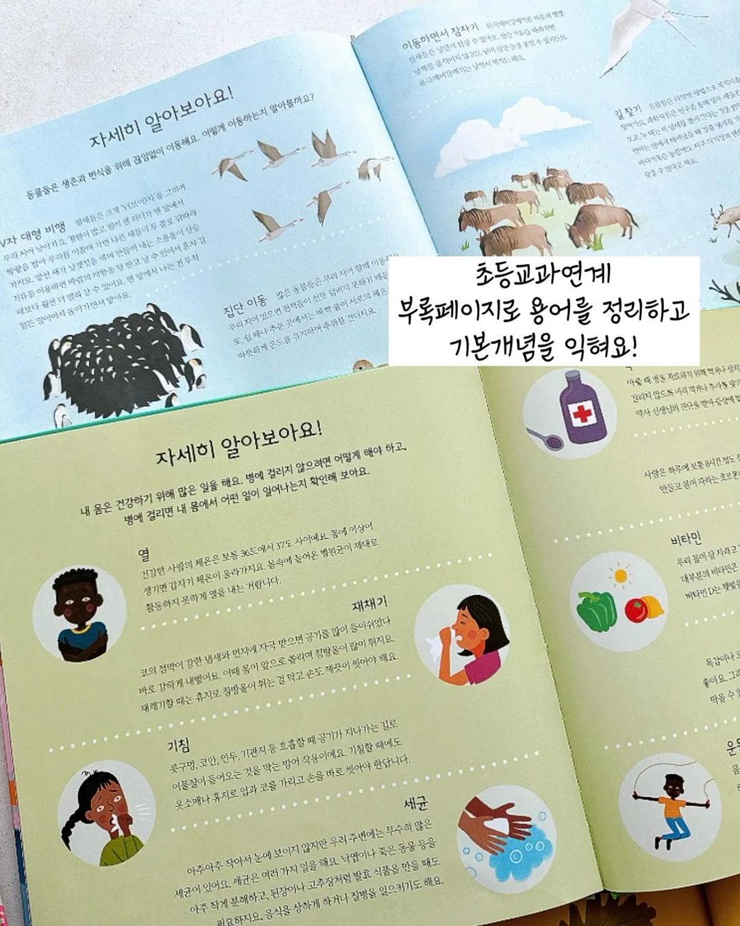 지연성알러지/종합대사 검사 9