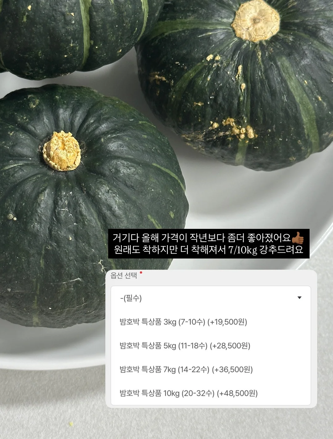 다이어트 보조제 3