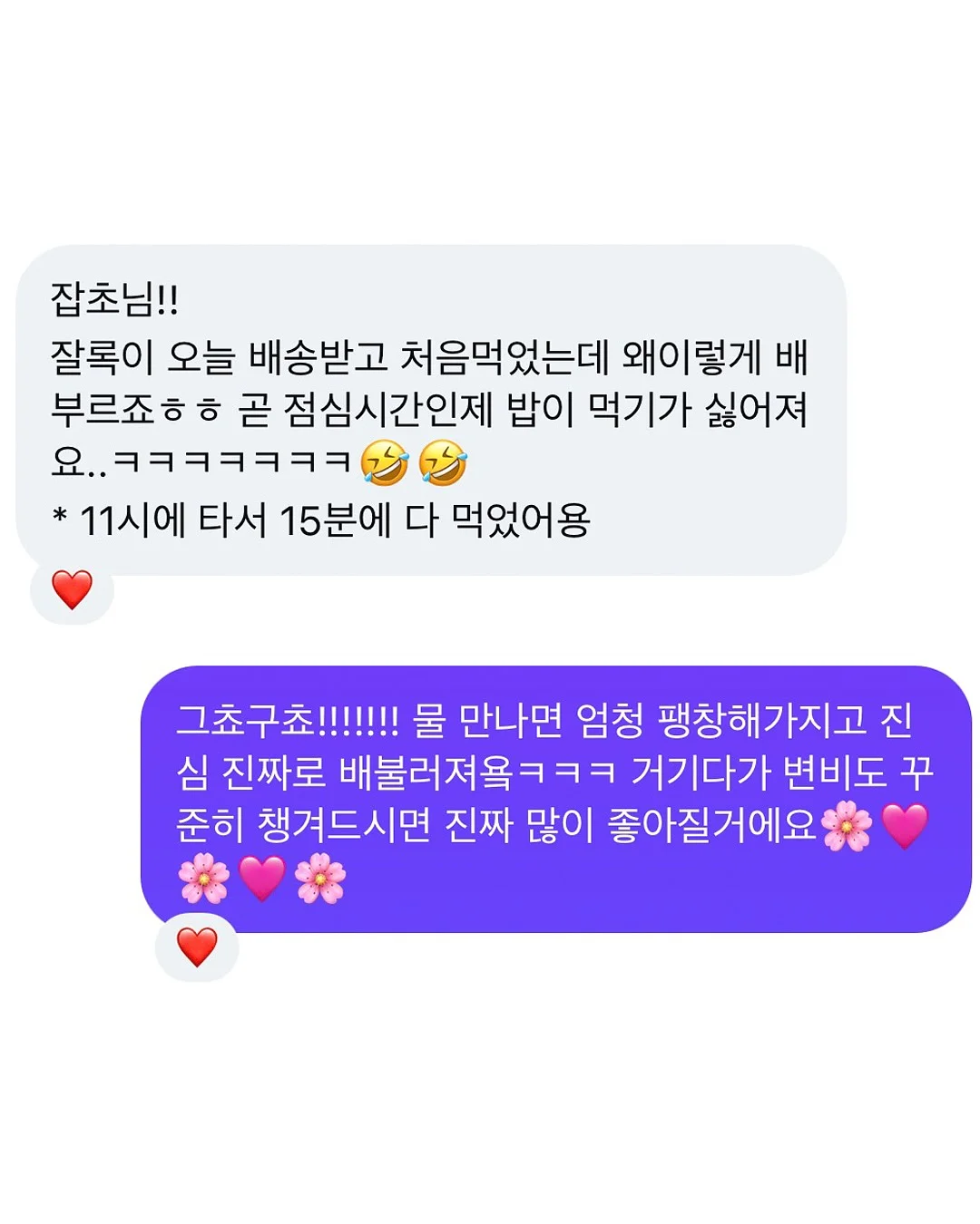 데님백 10