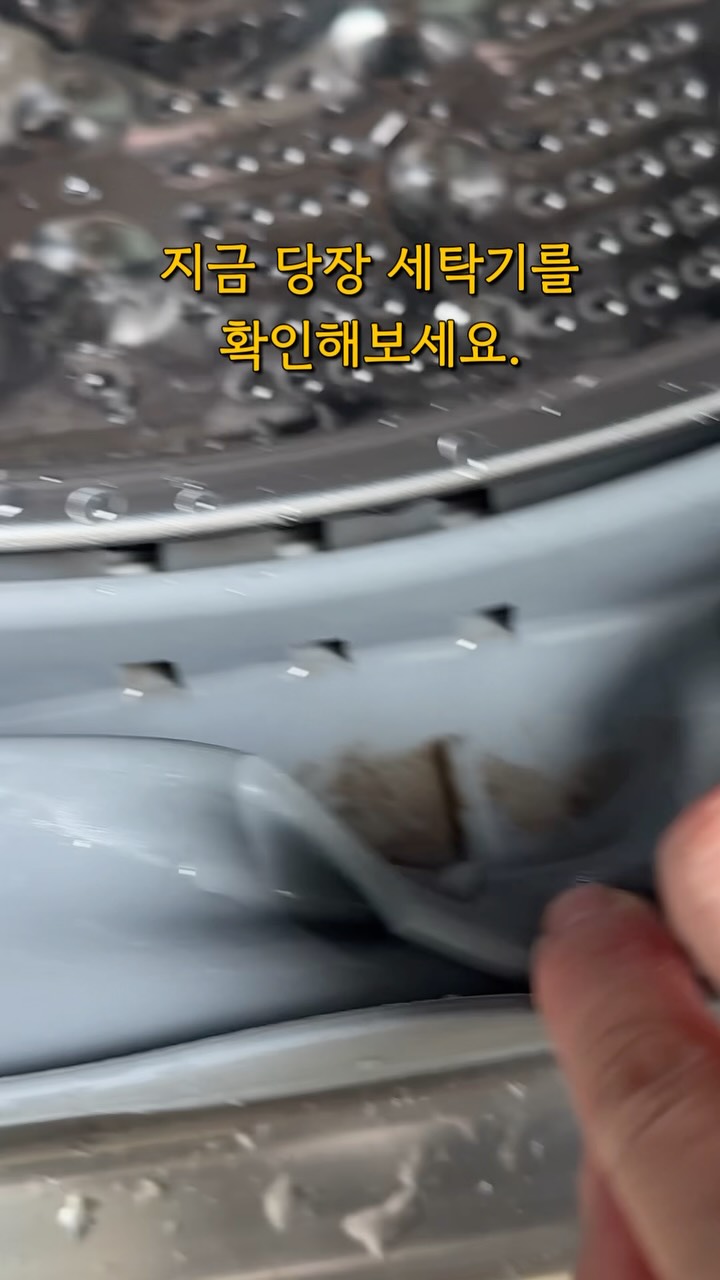 띠모 럭키박스