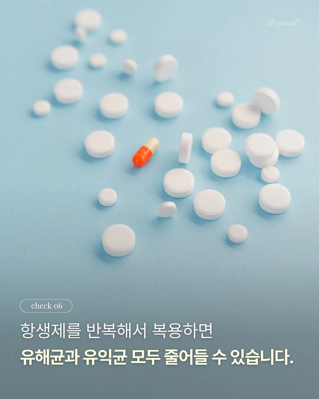 글램핑장 체험 프로그램 8