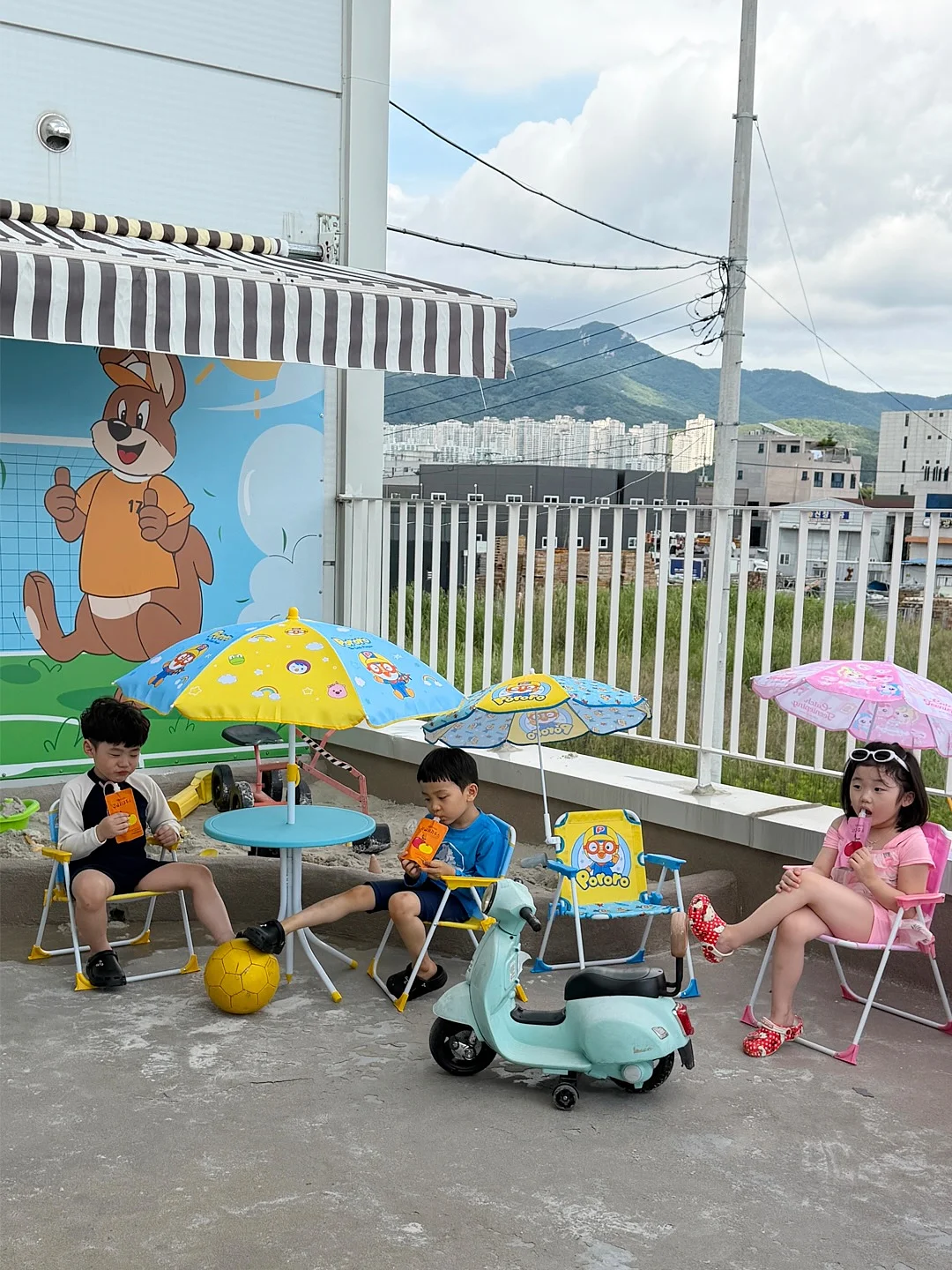 핑크 빈티지 컬렉션 18