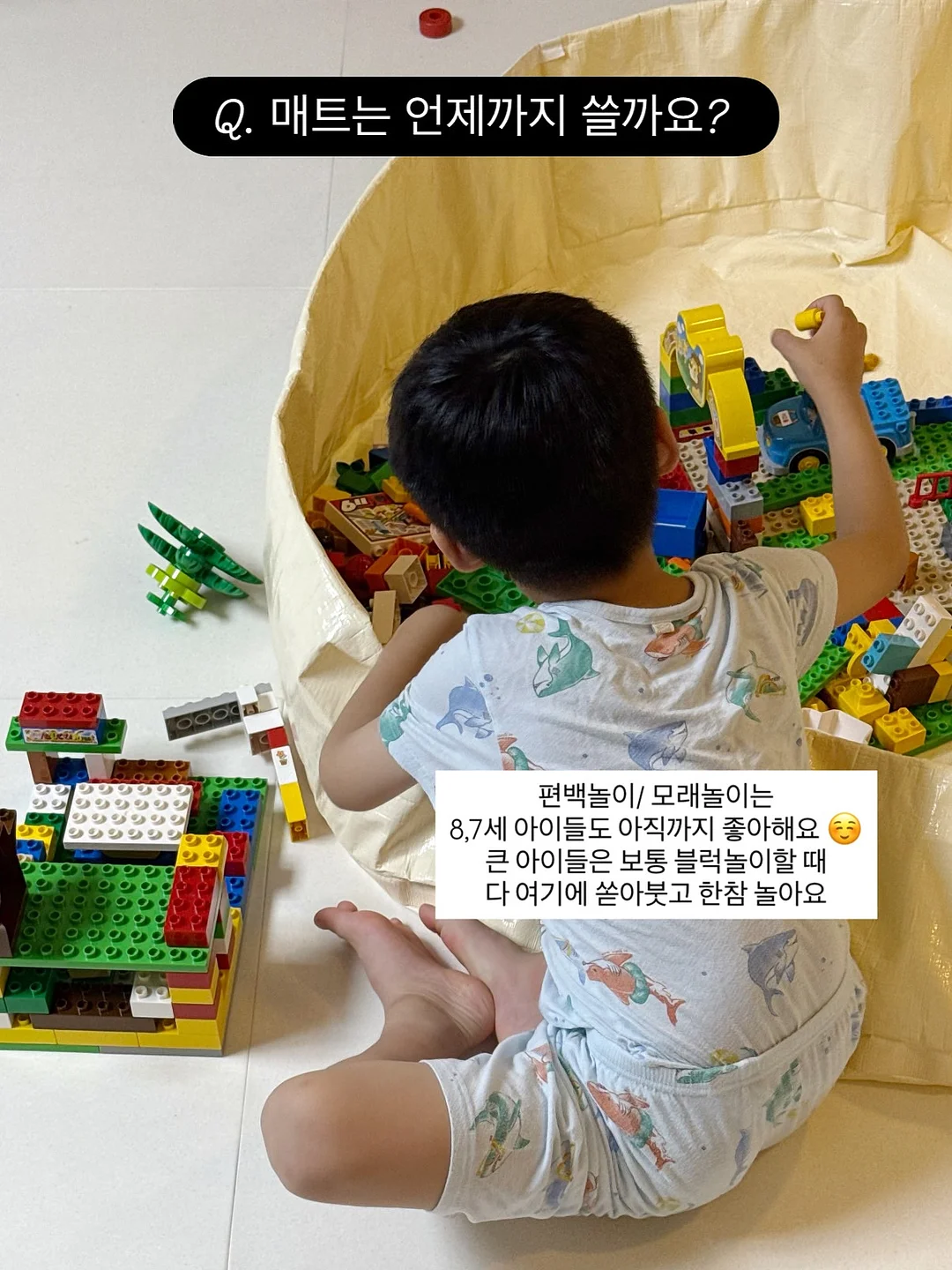 파메스테틱 스타터팩 18