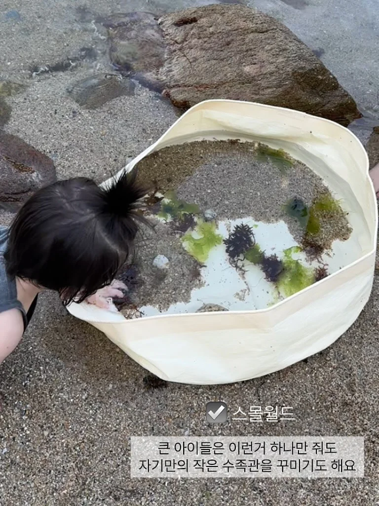 파메스테틱 스타터팩 8