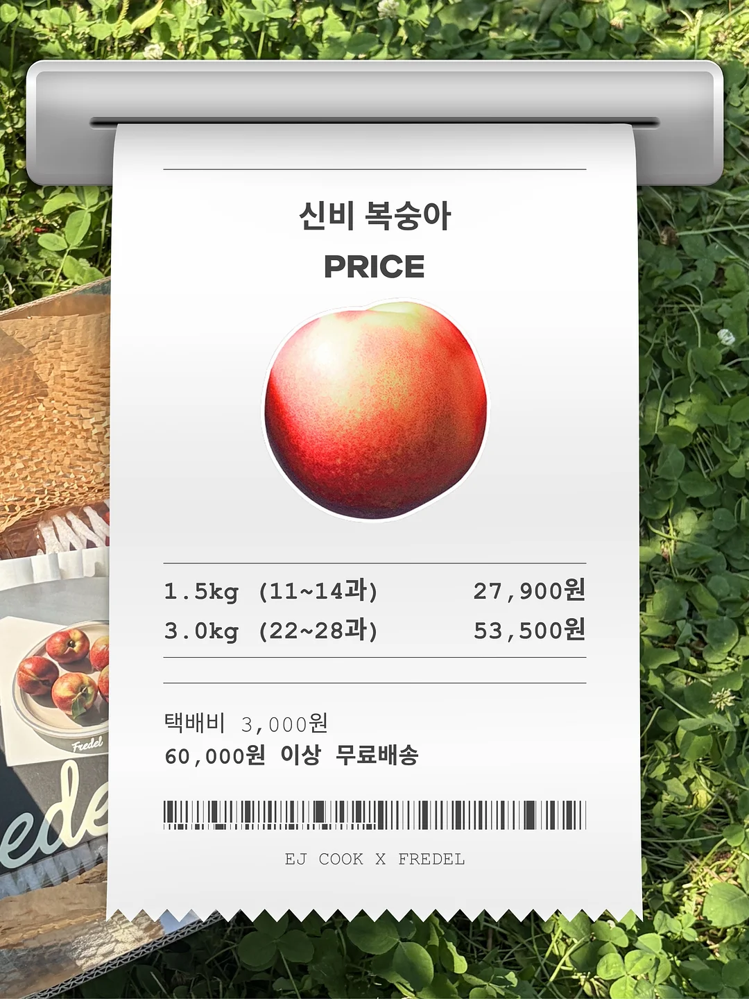 말띠 백일떡 4