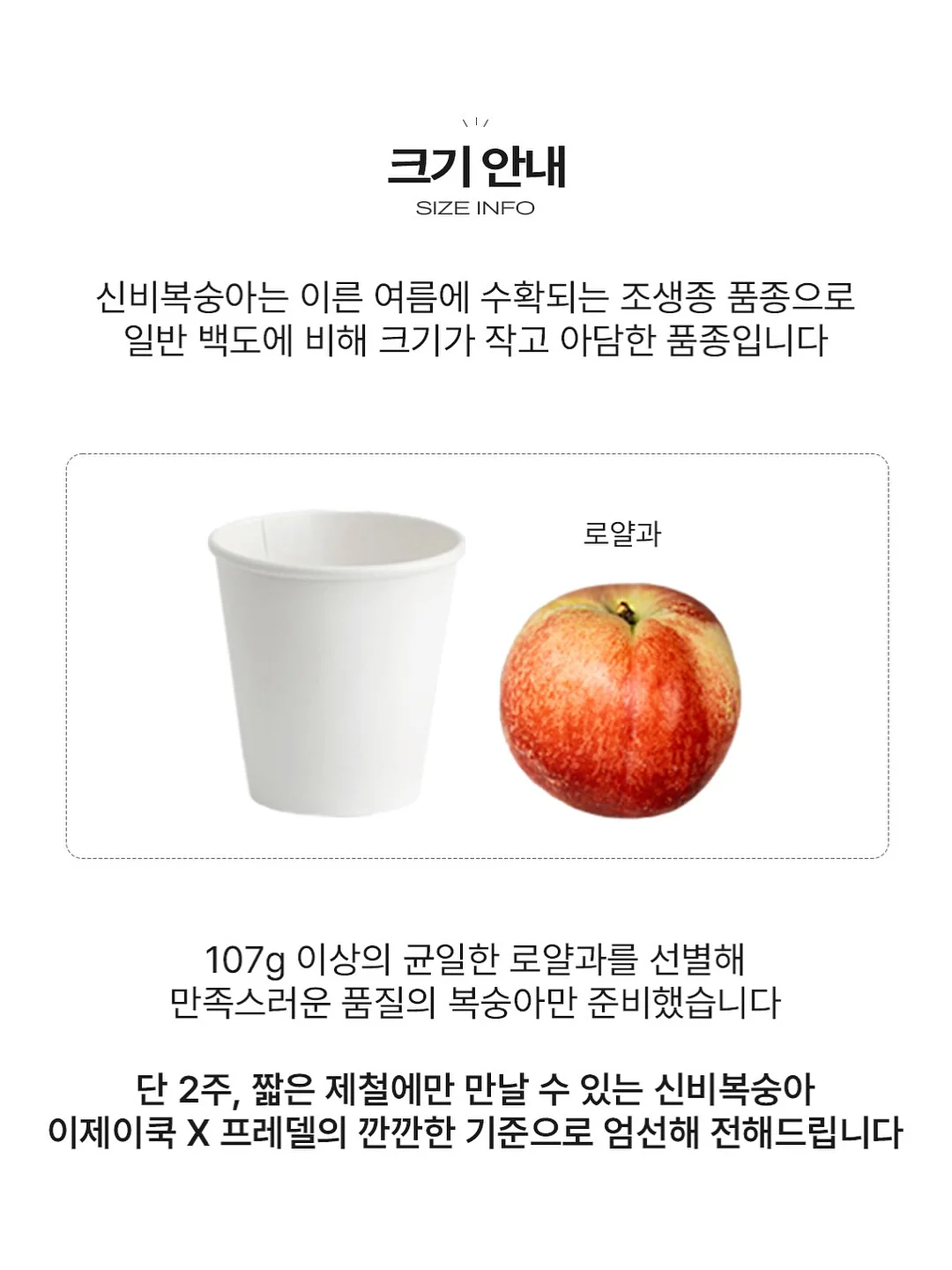 말띠 백일떡 6