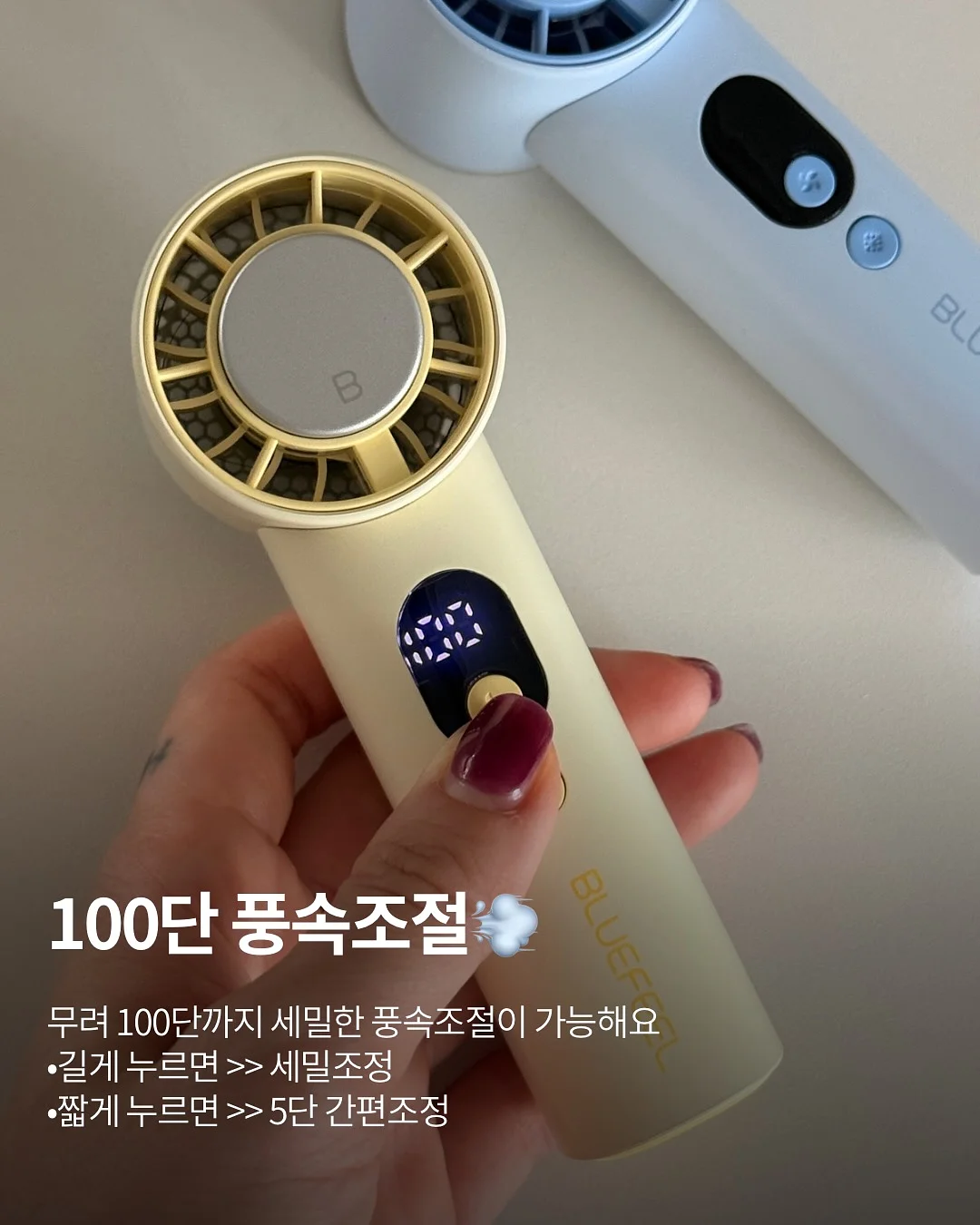 노다웃 봄 블렌드 난춘 6