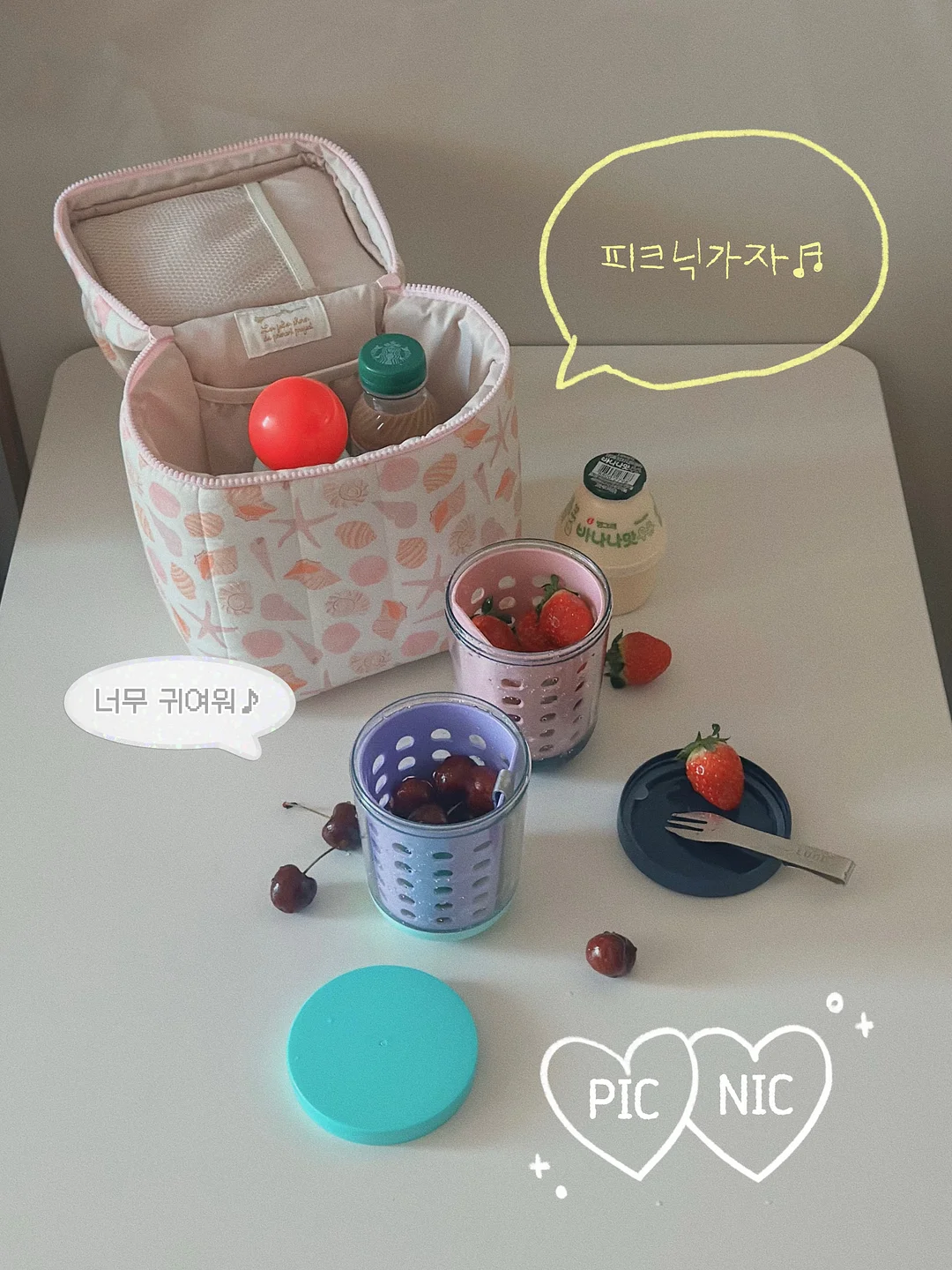 제주 천혜향 5kg 1