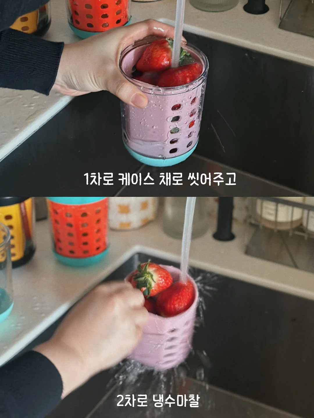 제주 천혜향 5kg 8