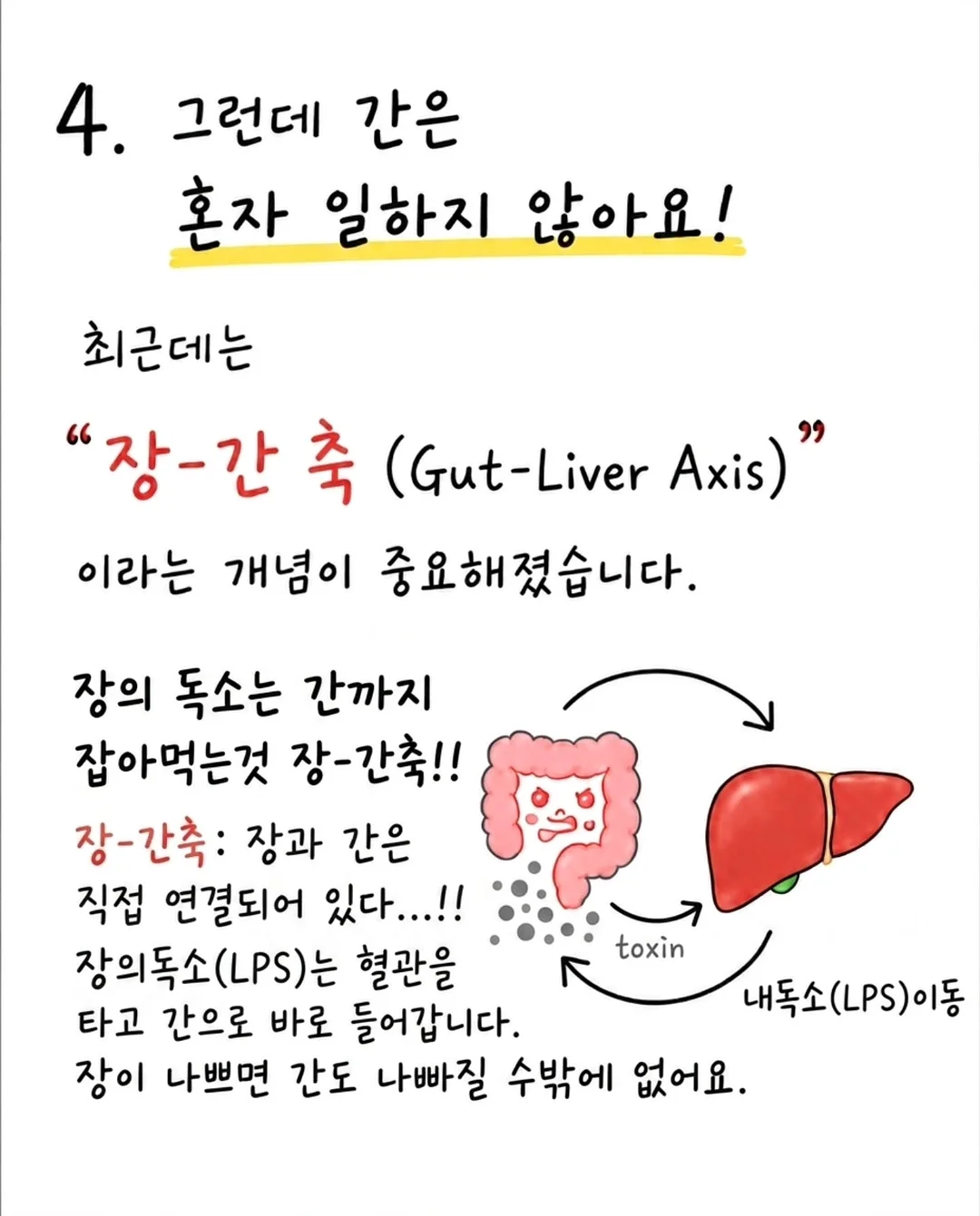 오이코스 베개커버 4