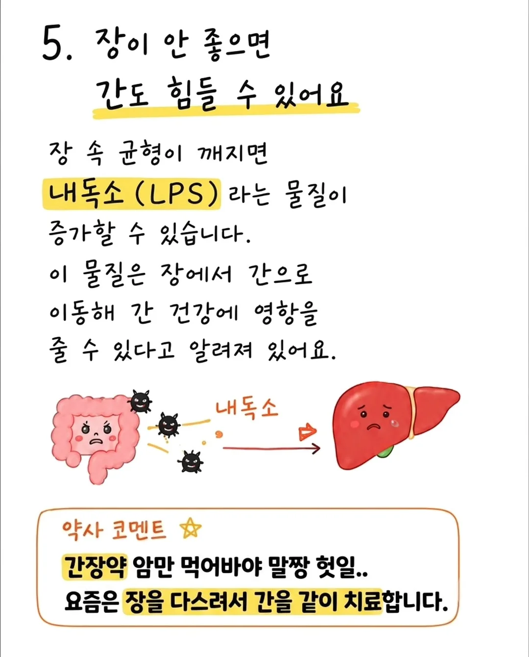 오이코스 베개커버 5