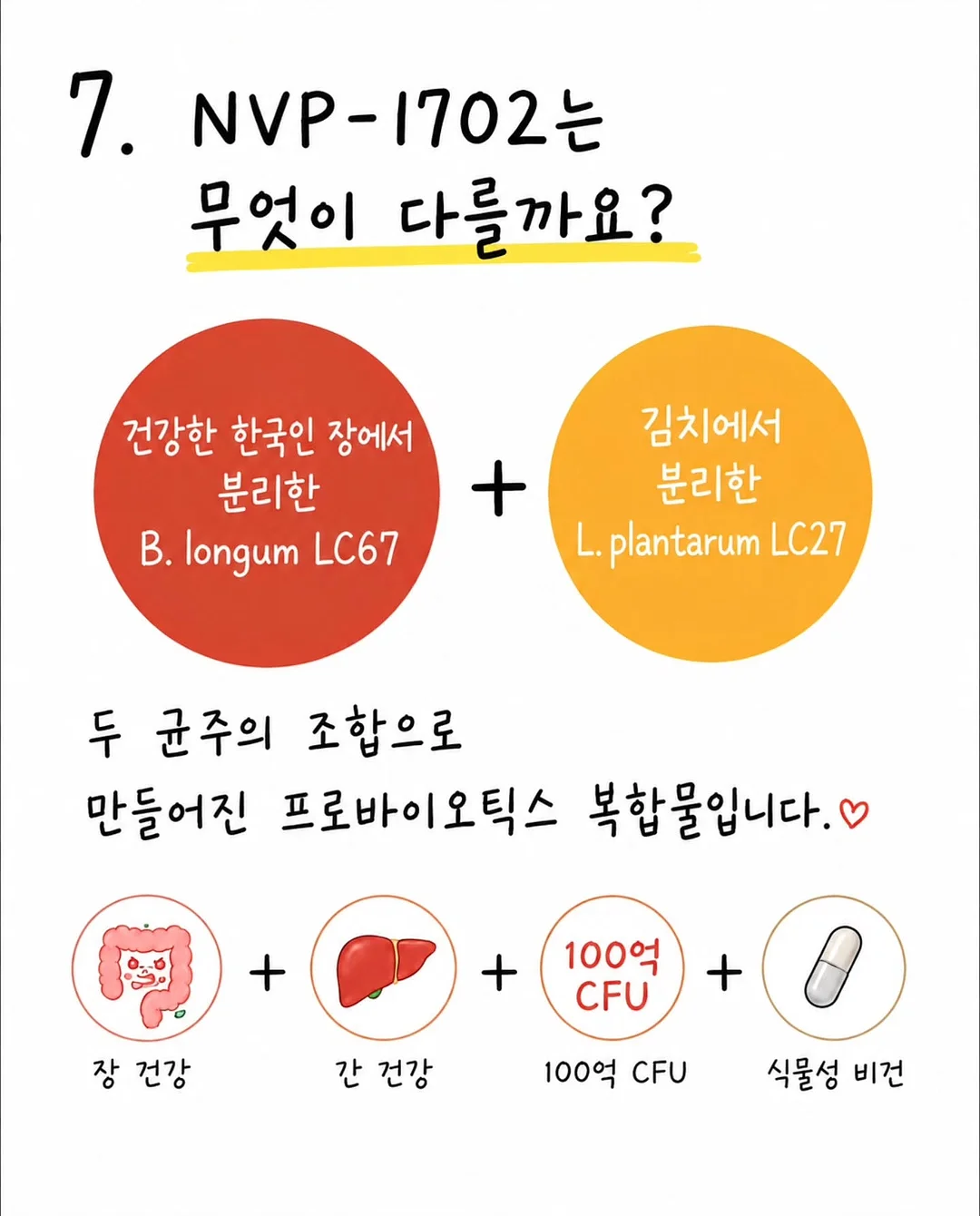 오이코스 베개커버 7