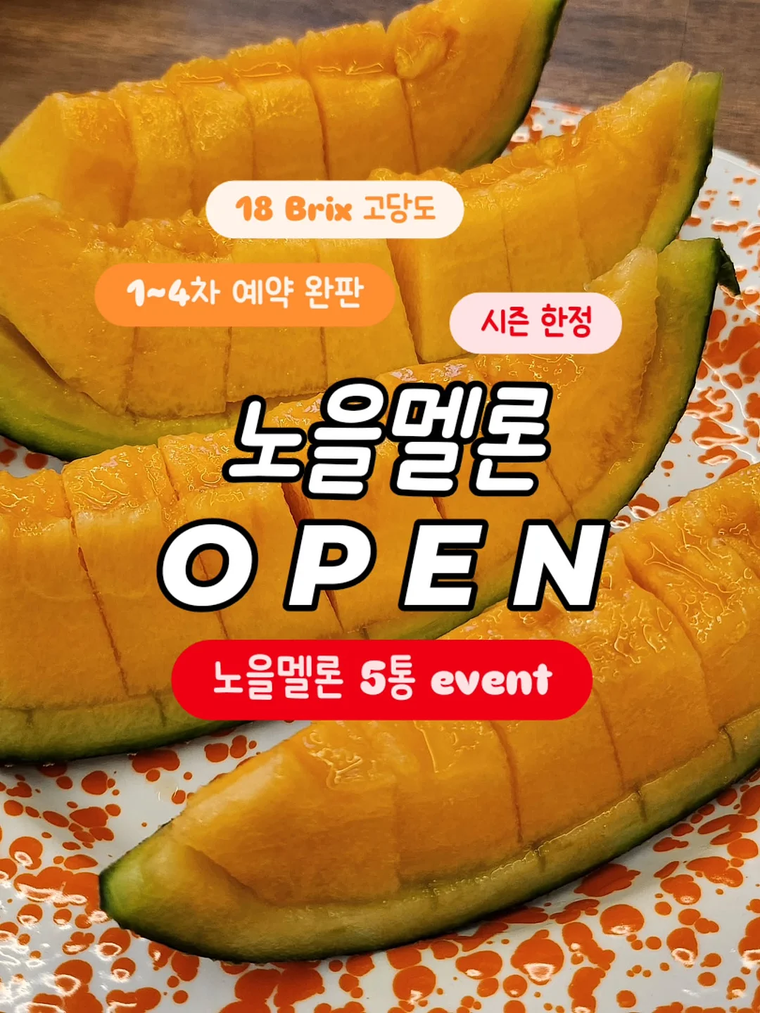 스웨이드 블루종 JP 1
