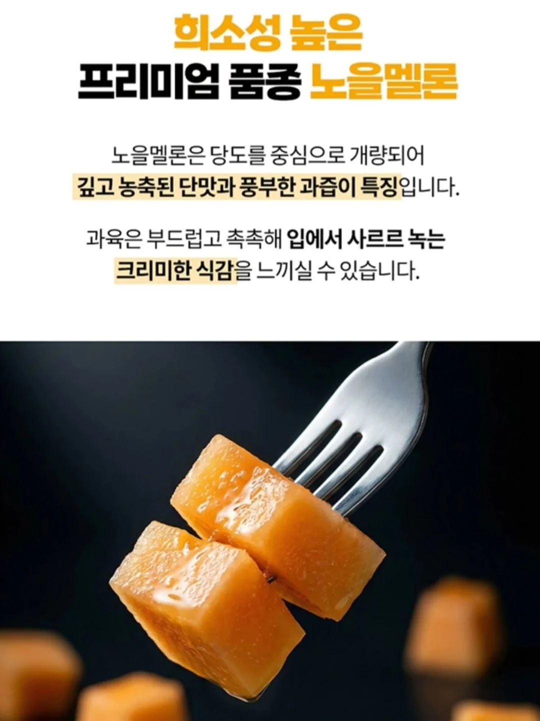 스웨이드 블루종 JP 7