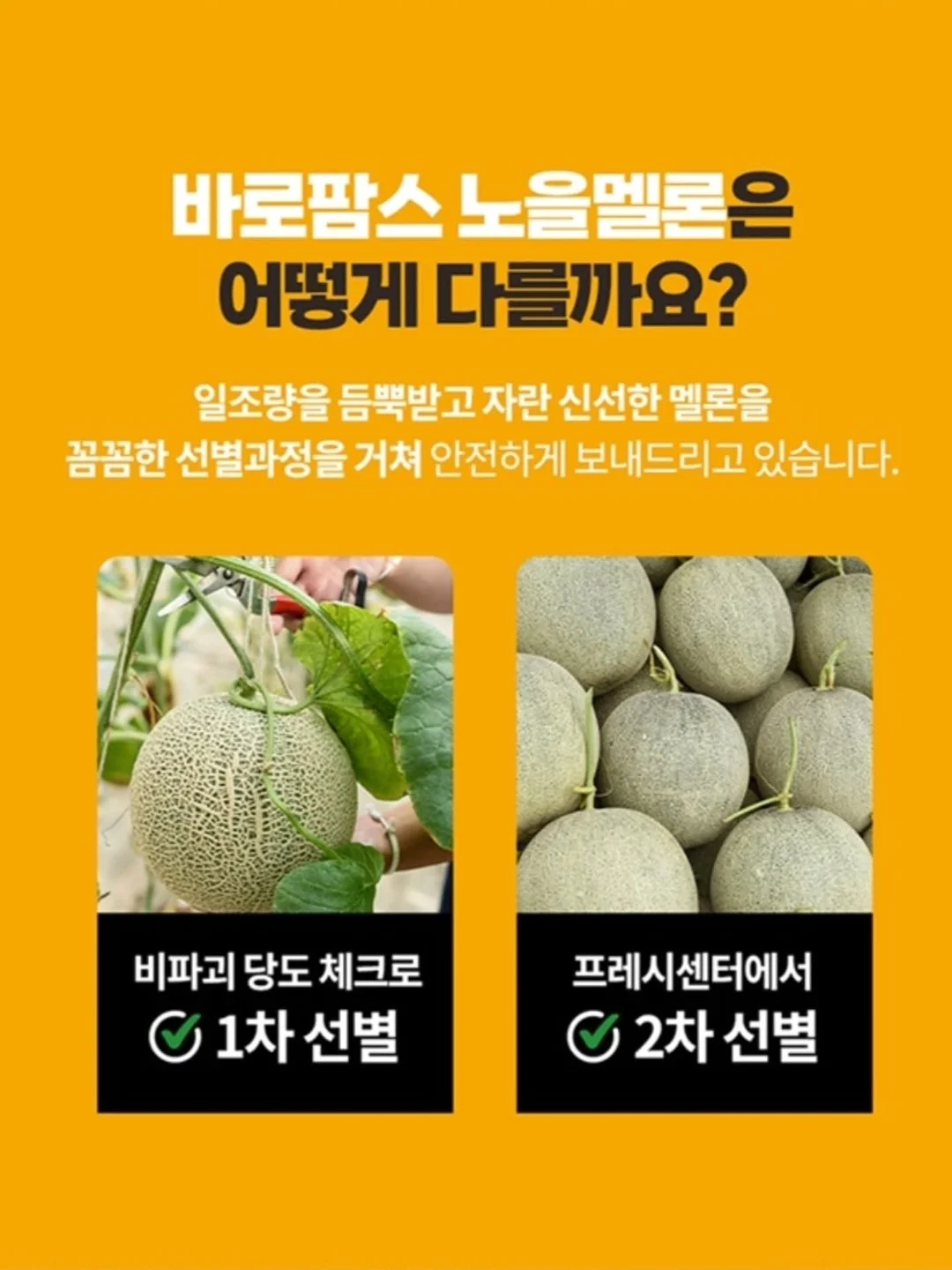 스웨이드 블루종 JP 8
