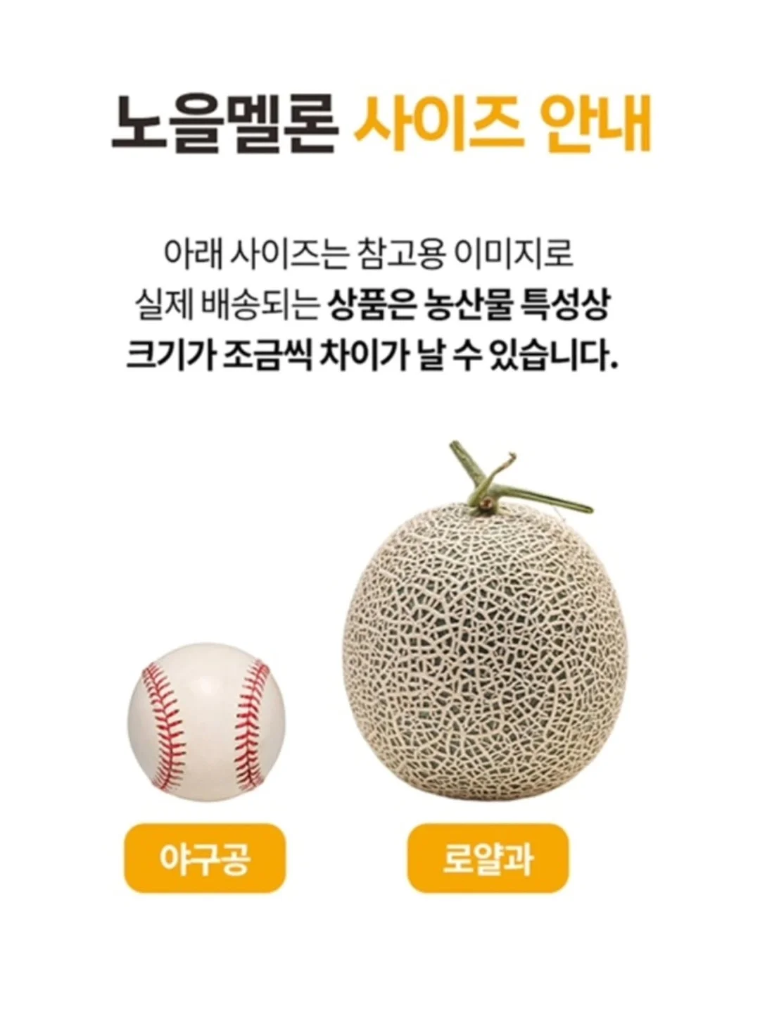 스웨이드 블루종 JP 9