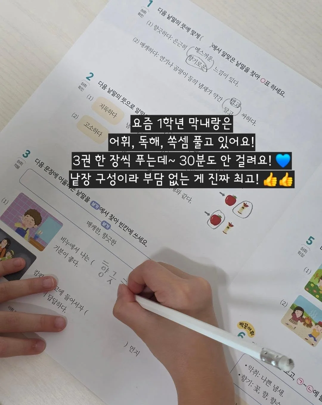 멀티탭 5