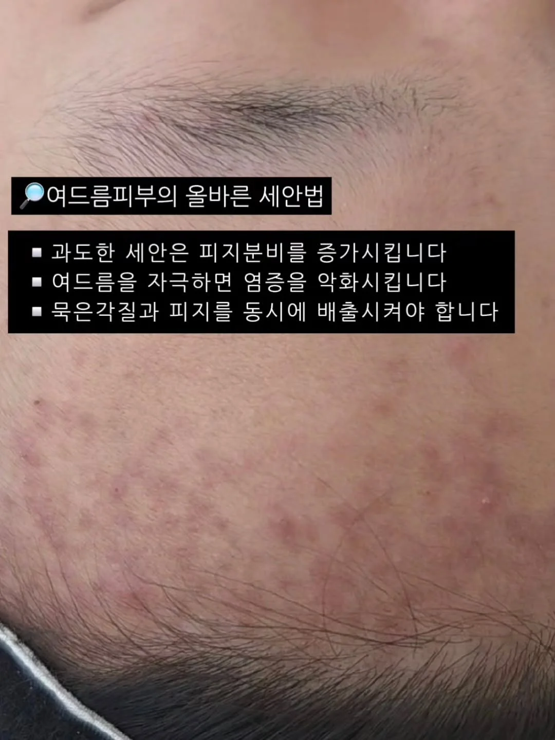 네잎클로버 화분 4