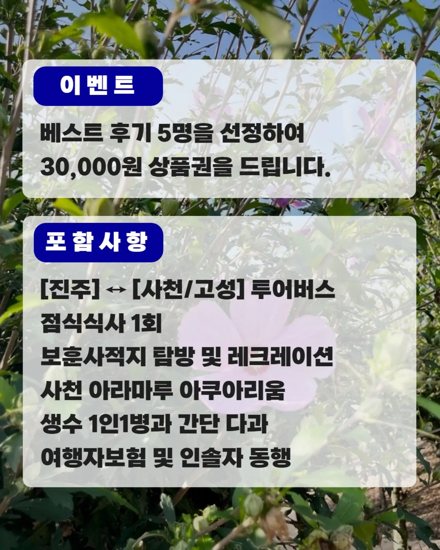 알텐바흐 딥소테 팬 4
