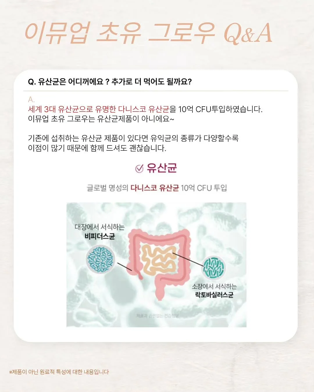 스트라이프티 캉캉 스커트 8