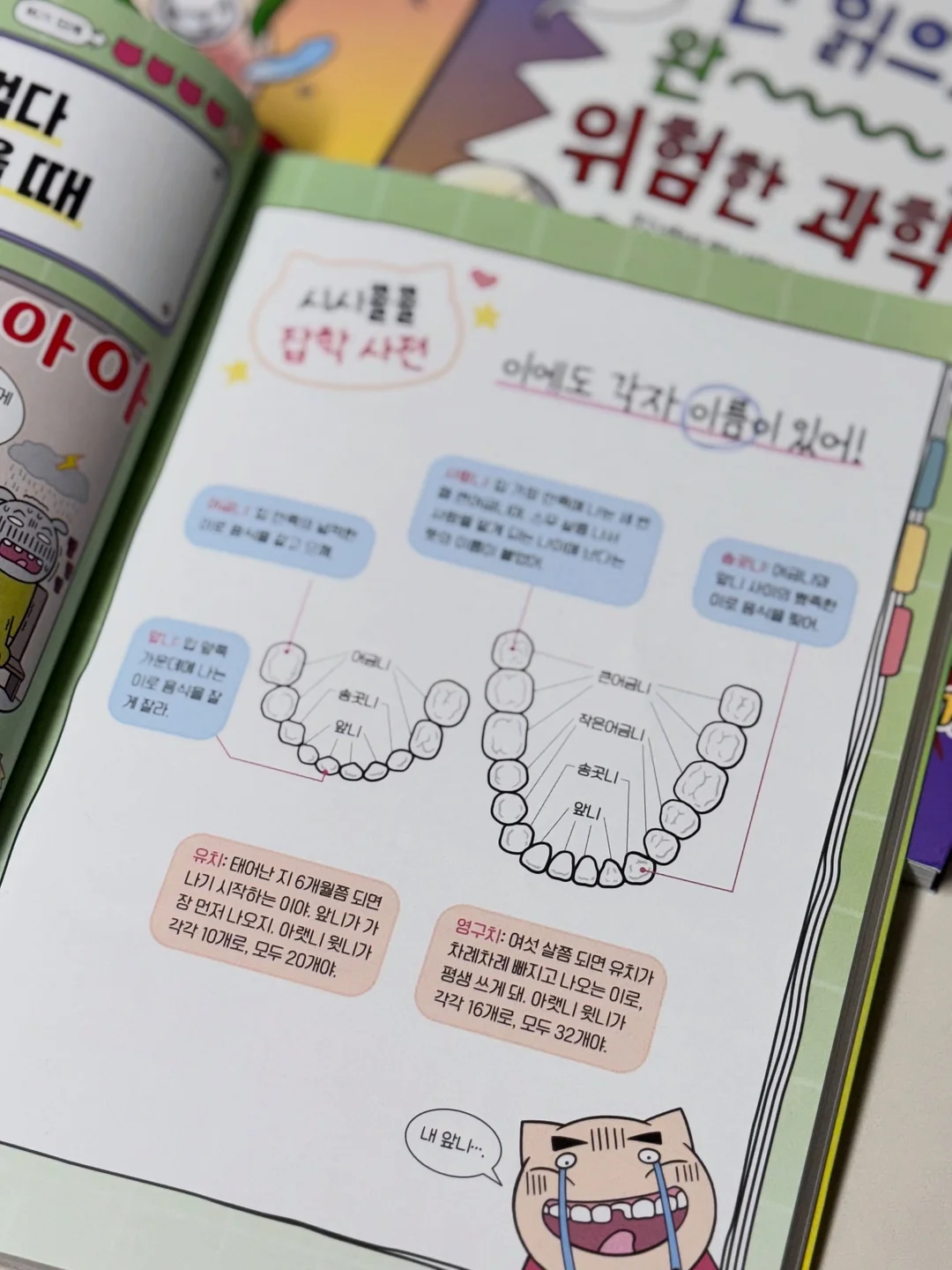 아스트라 볼링백 18