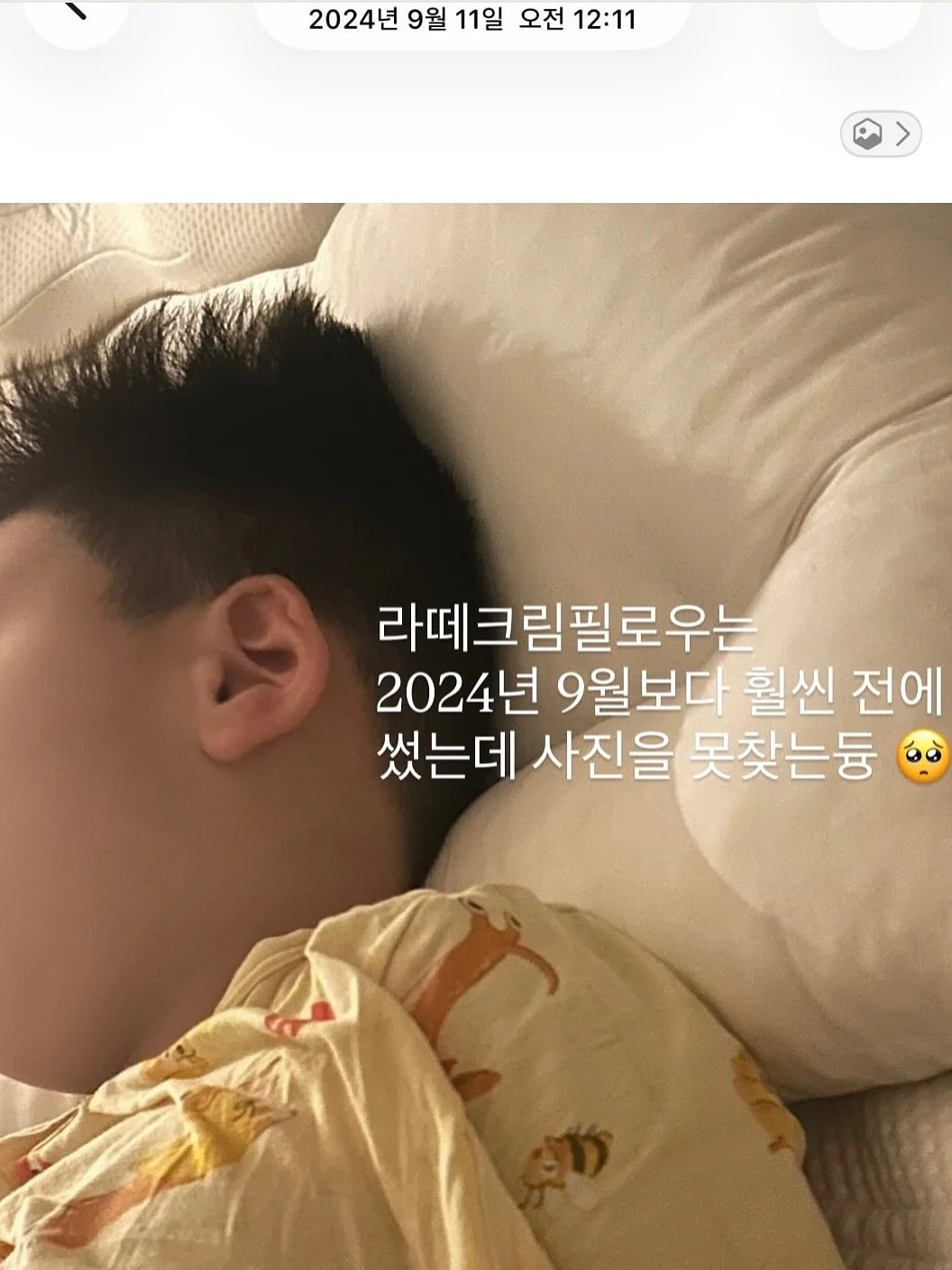 에르고 냉감패드&이불 1