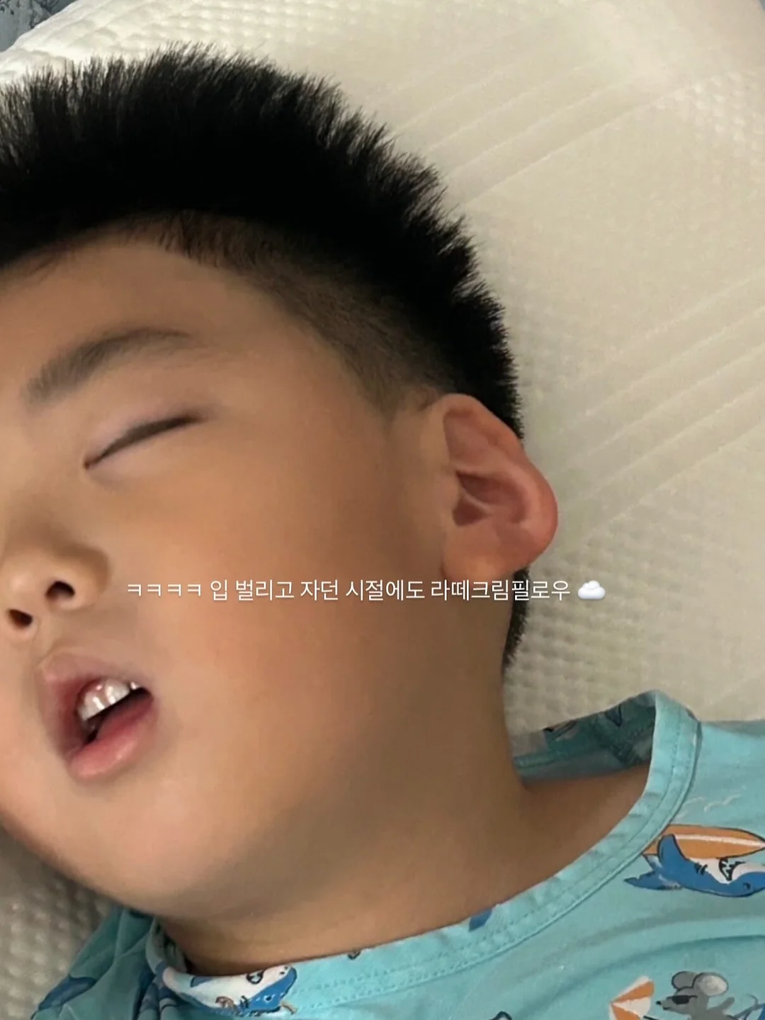 에르고 냉감패드&이불 2