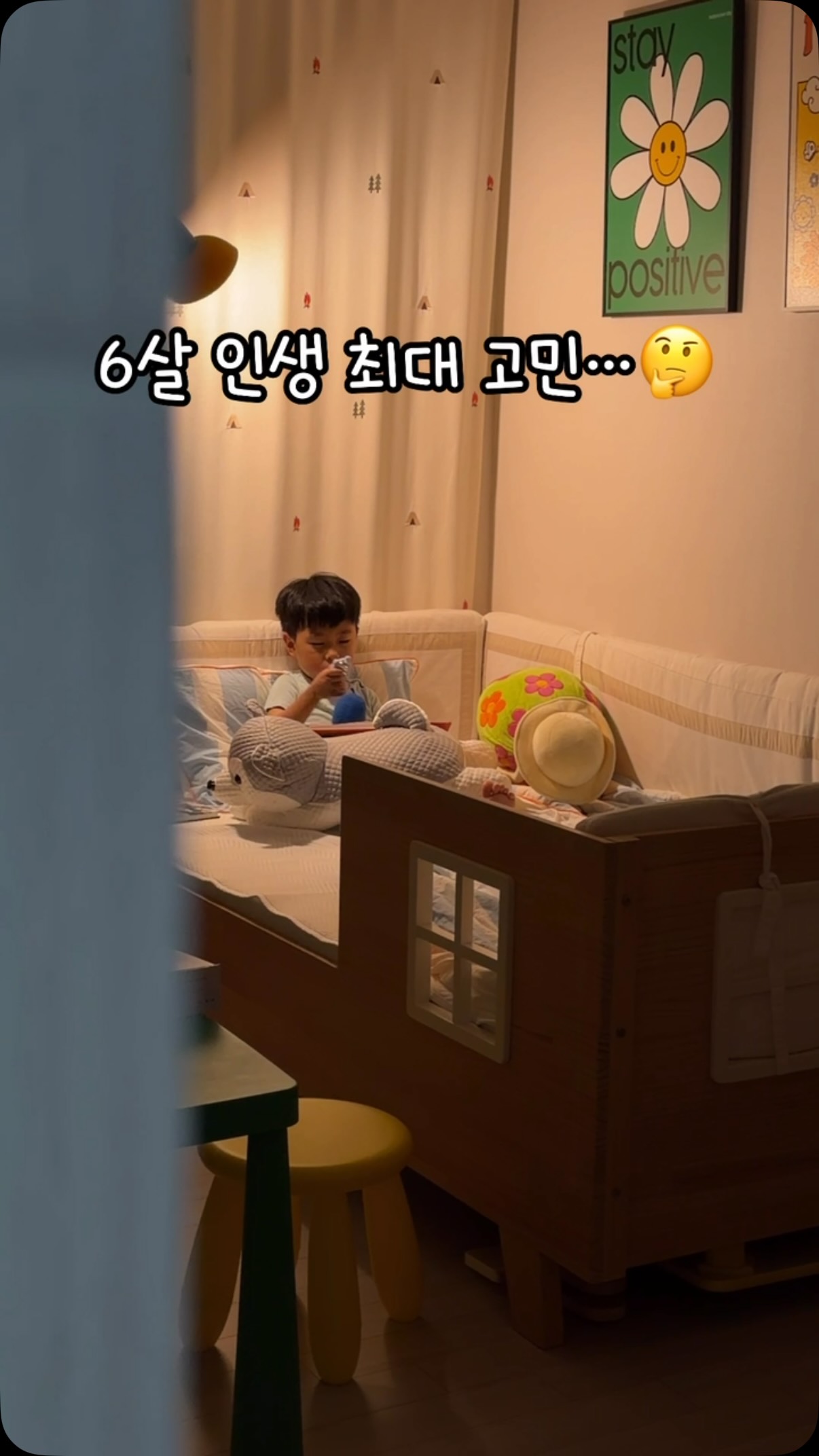 달리수세미