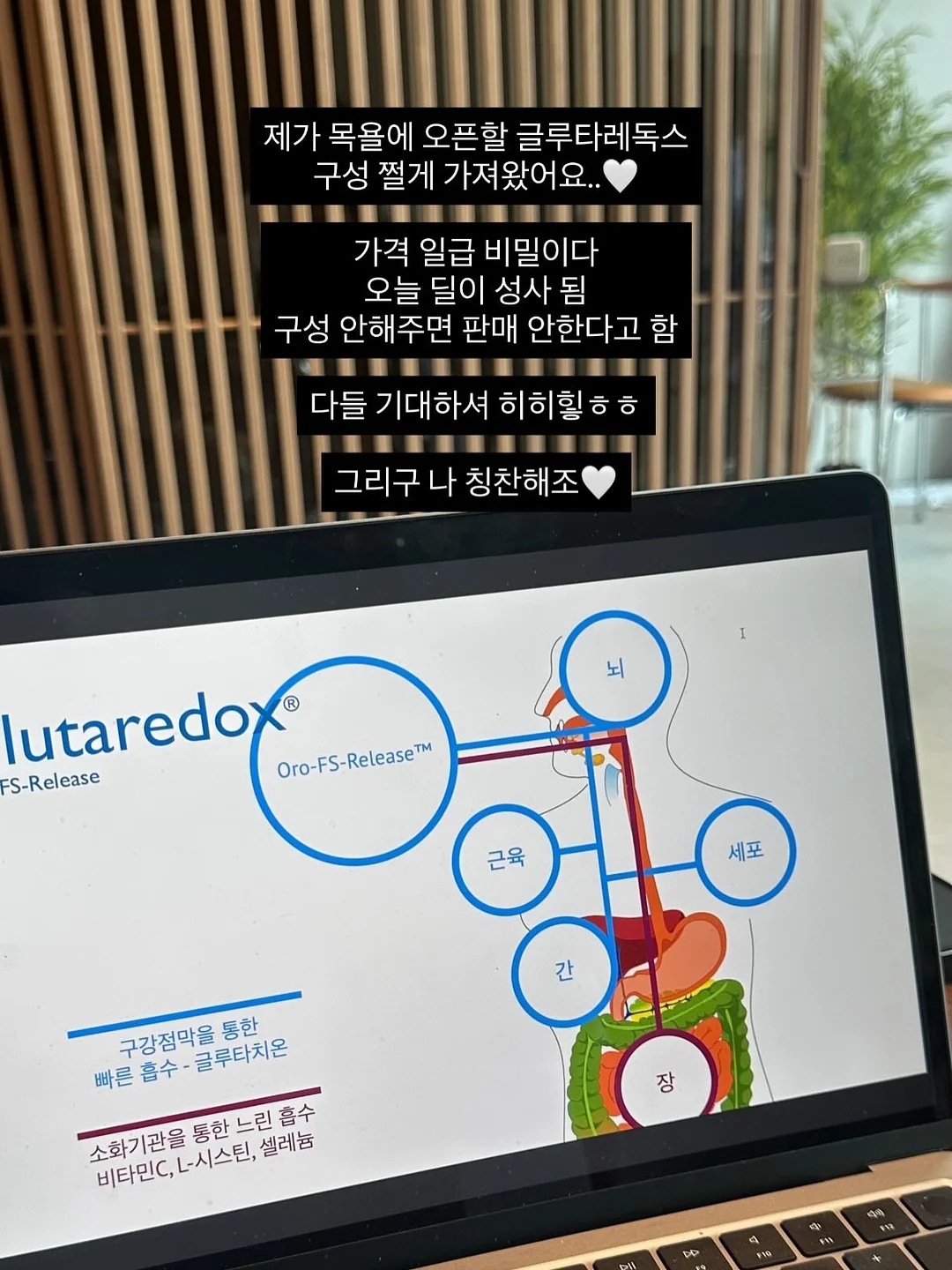 푸드올로지 헬로키티 컷팅젤리 1