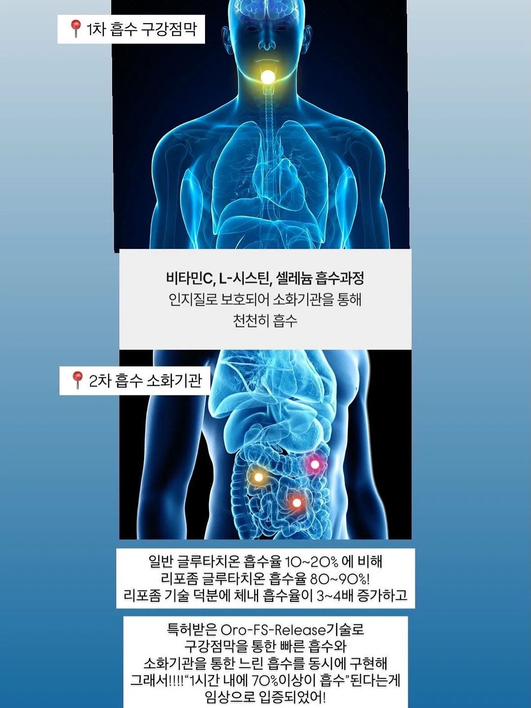 푸드올로지 헬로키티 컷팅젤리 11