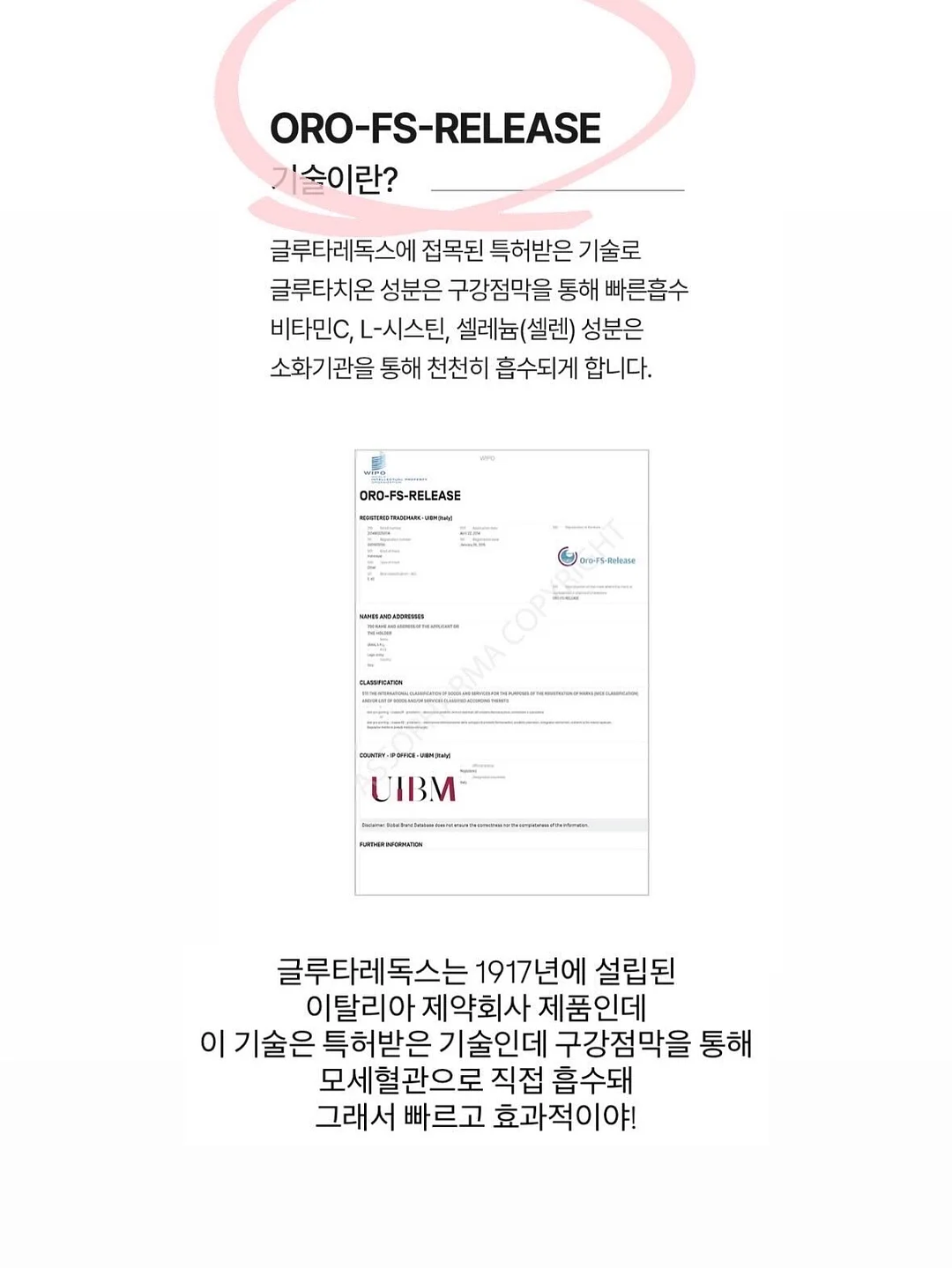 푸드올로지 헬로키티 컷팅젤리 12