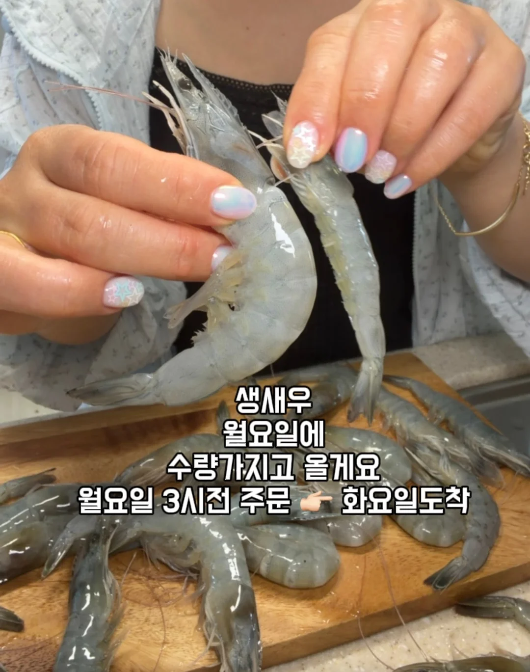 zoo 컨셉 아기 촬영