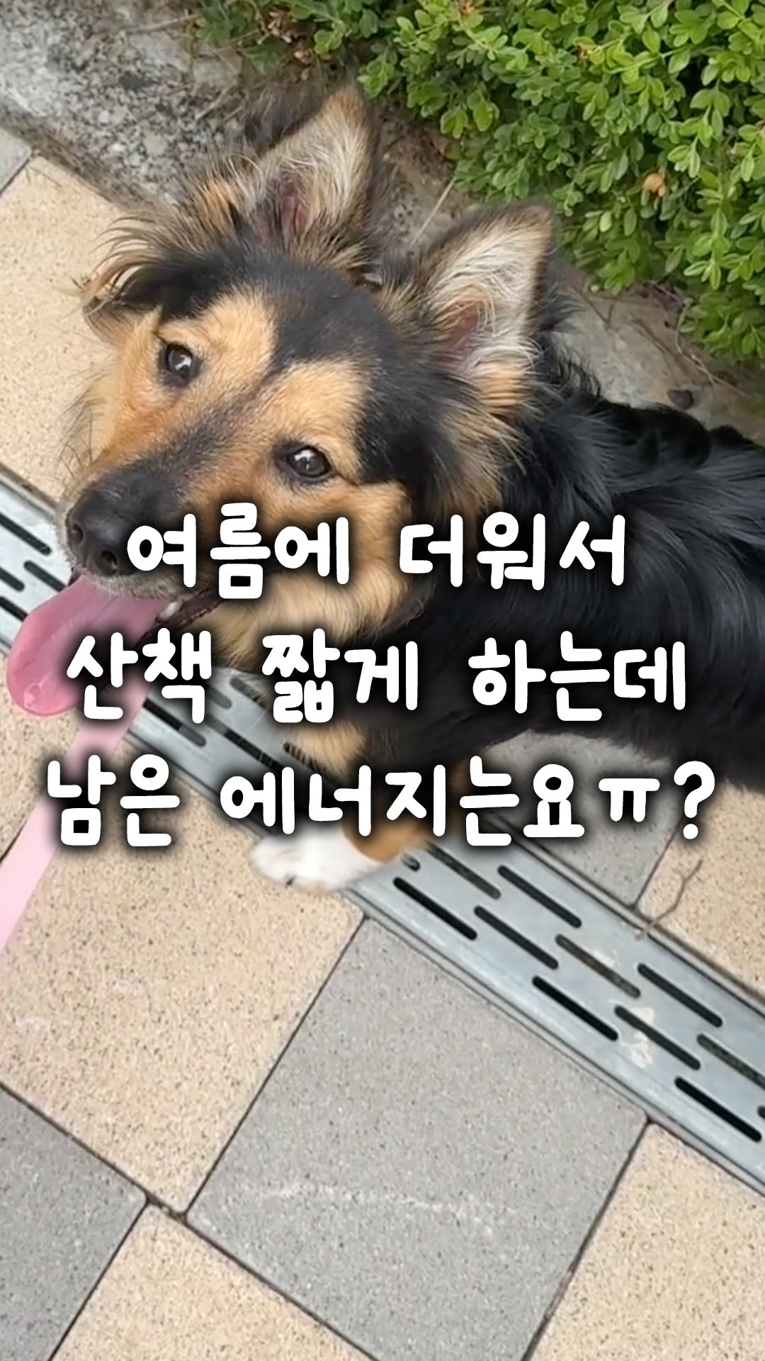 세계사 탐험대