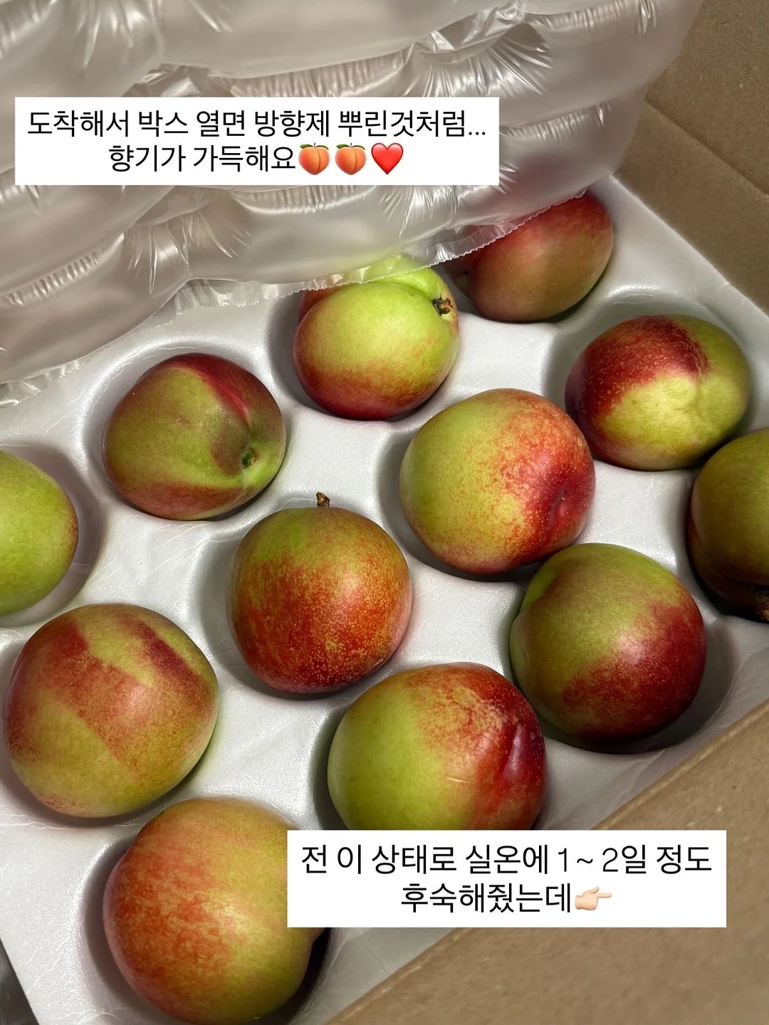 새로고침 데코타일 12