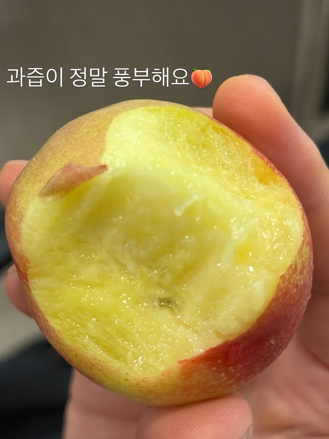 새로고침 데코타일 15