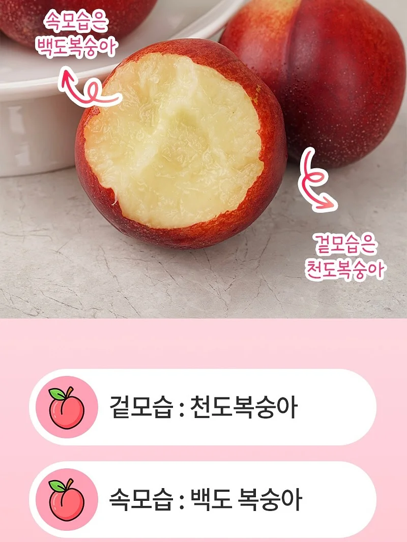 새로고침 데코타일 19